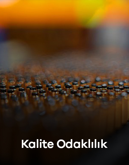 Kalite Odakllk