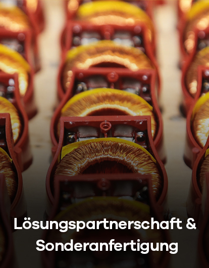 Lsungspartnerchaft & Sonderanfertigung