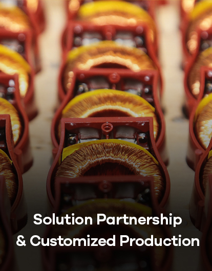 Solution Partnership & Customized Production